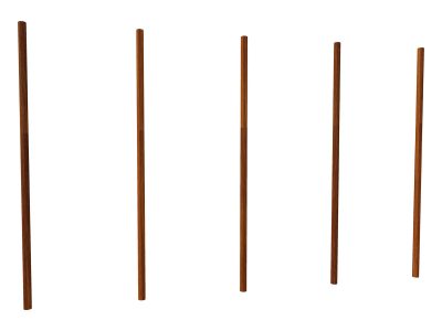 ACB-10 Slalom Canino Balto